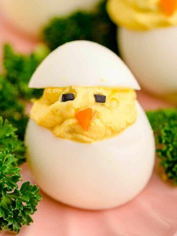 chick deviled egg