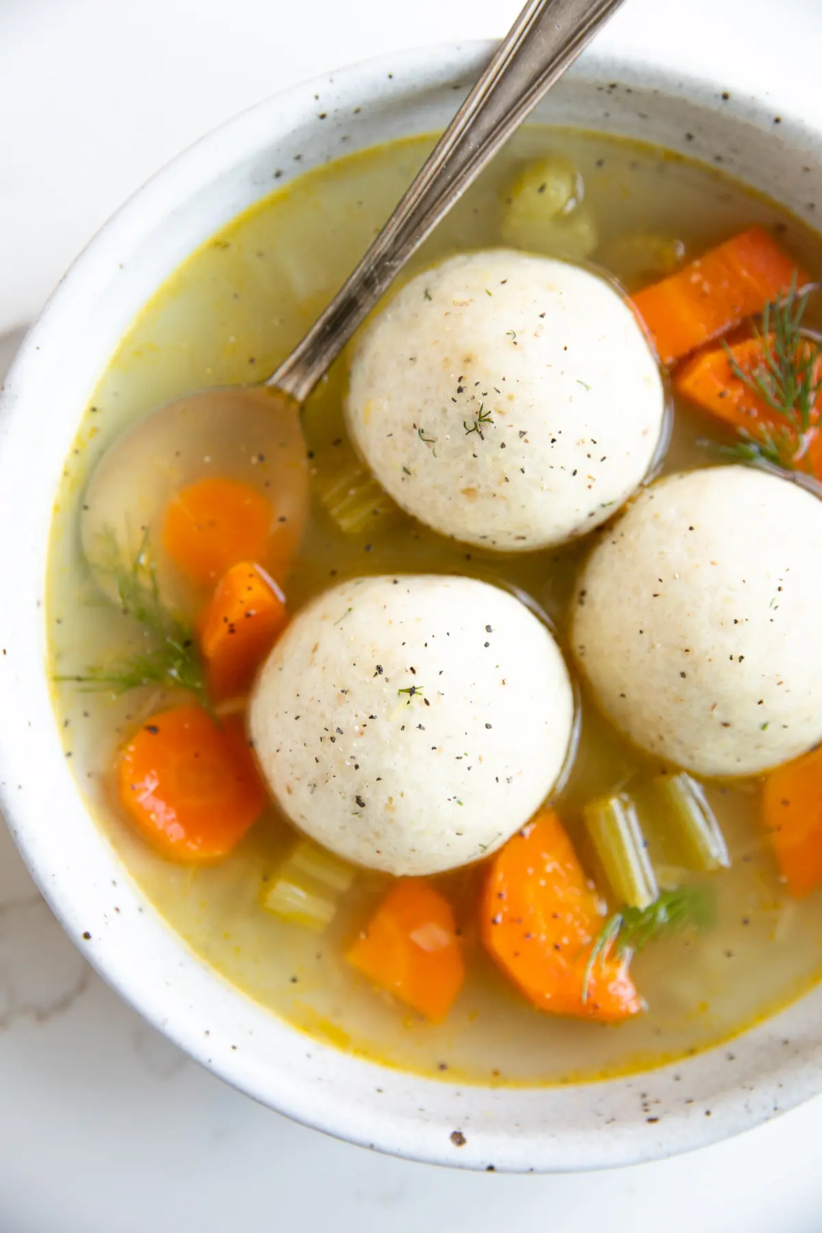  Matzo Ball Soup with carrots and celery.