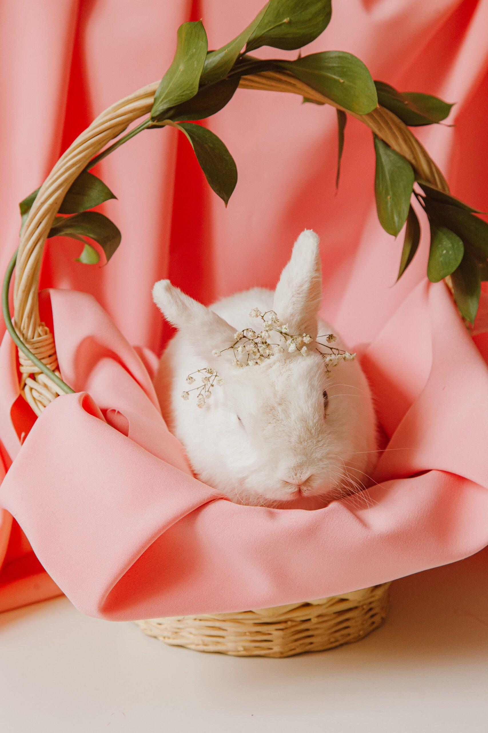 An Easter bunny sitting in an Easter basket with a pink sheet under it. The bunny has a baby's breath crown
