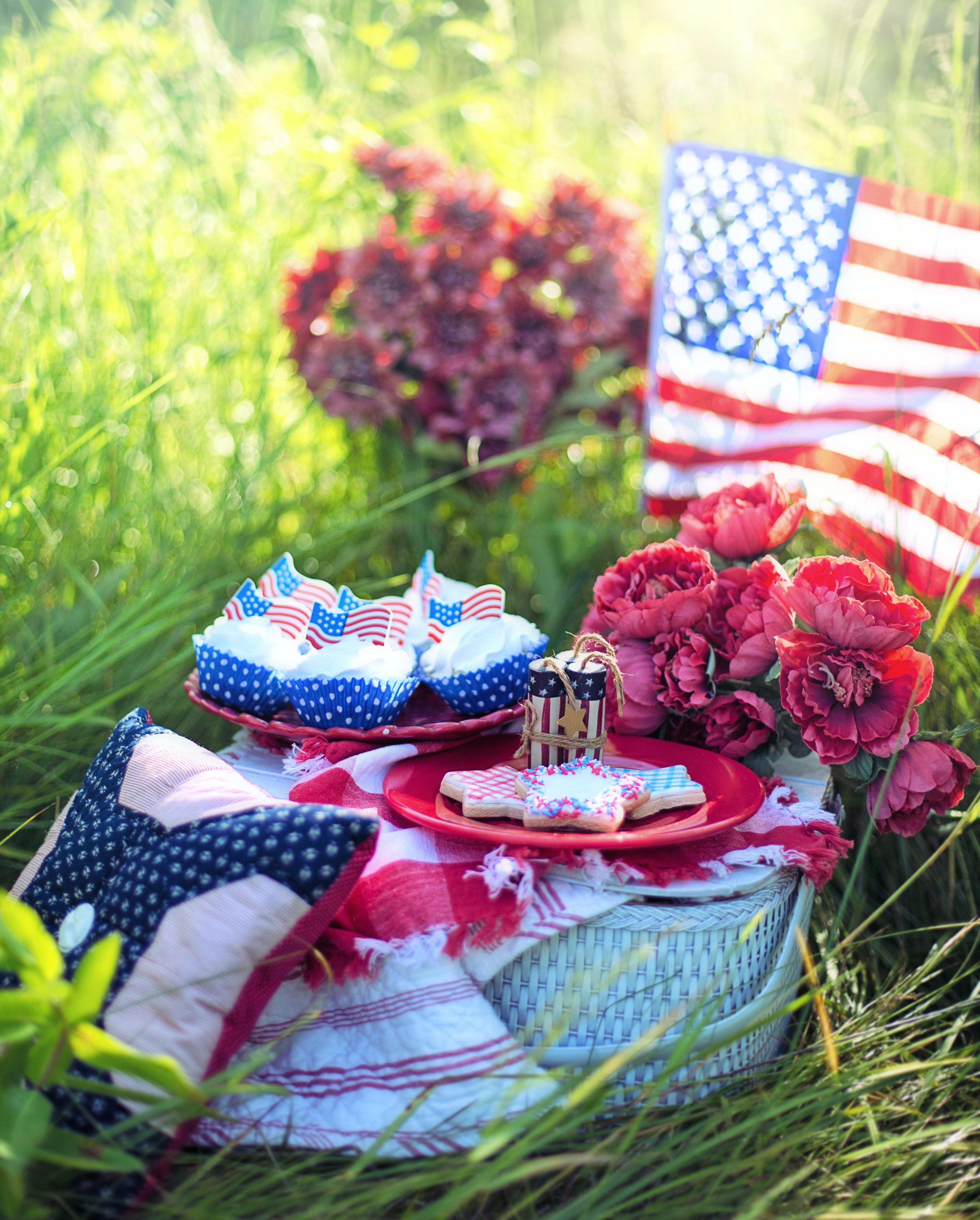 American flag picnic