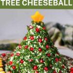 Christmas Cheese Ball with cheese star and pomegranate seed ornaments
