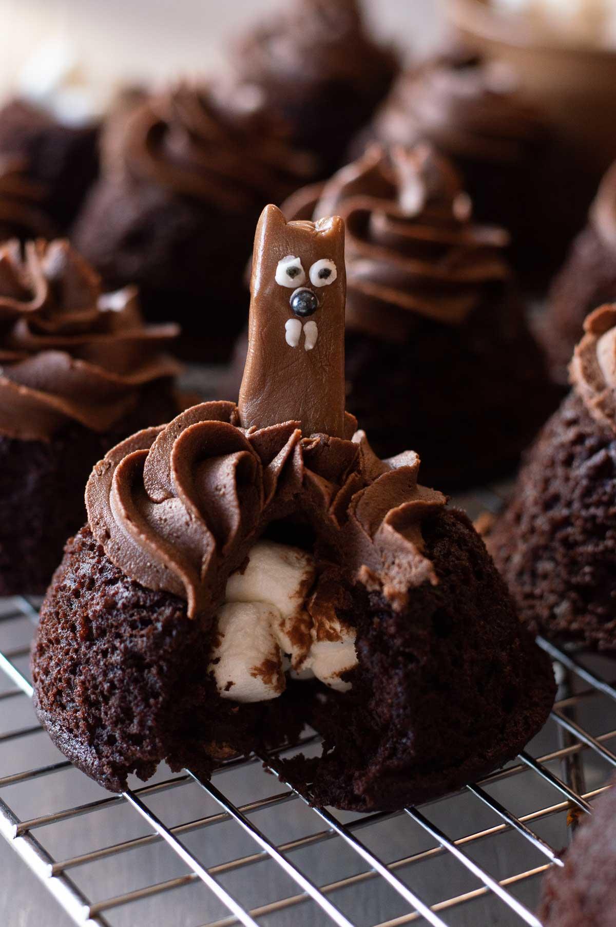 Groundhog Day Cupcakes with chocolate frosting