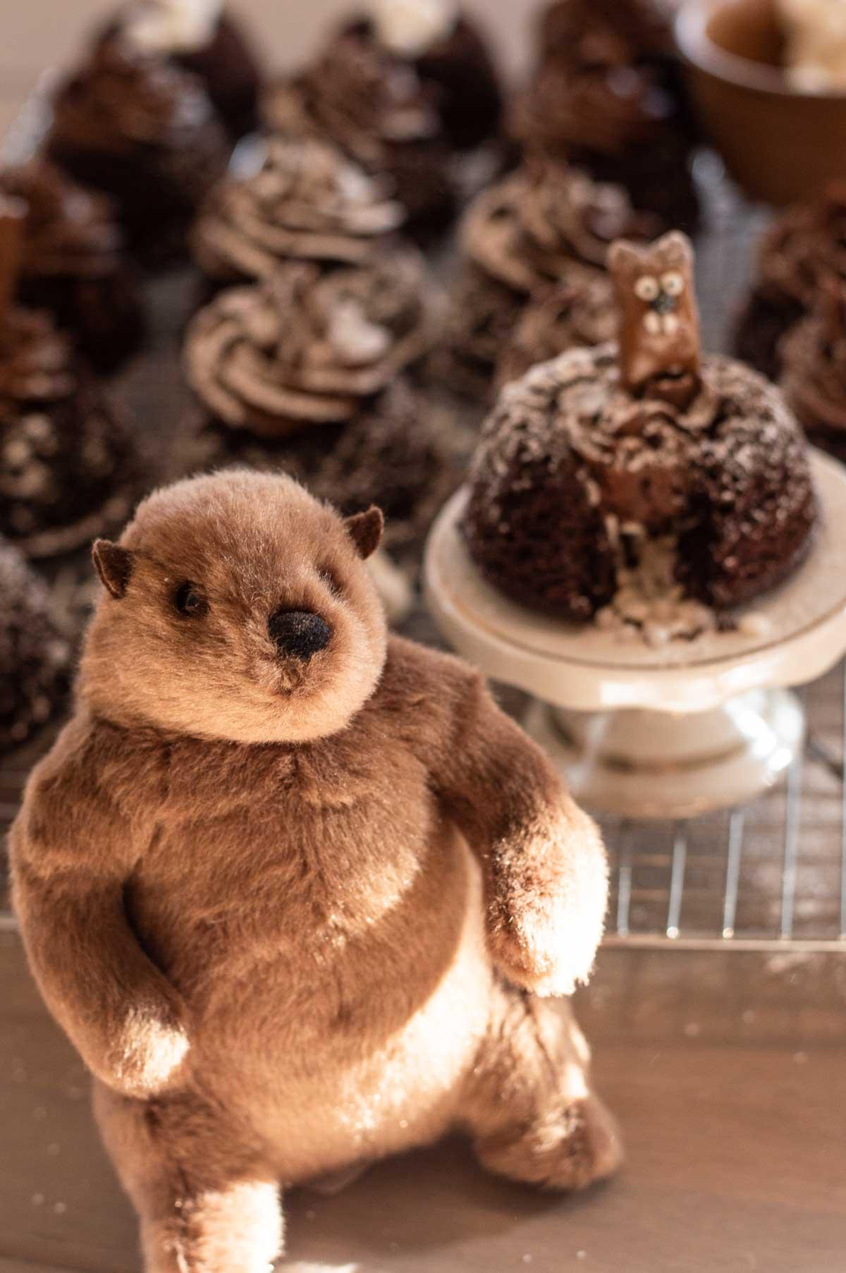 Groundhog Day Party with stuffed groundhogs and groundhog themed treats