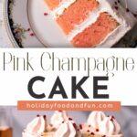 Pink Champagne Cake pin